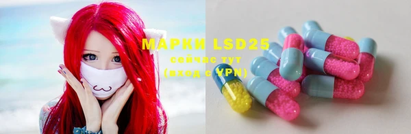 ГАЛЛЮЦИНОГЕННЫЕ ГРИБЫ Армянск