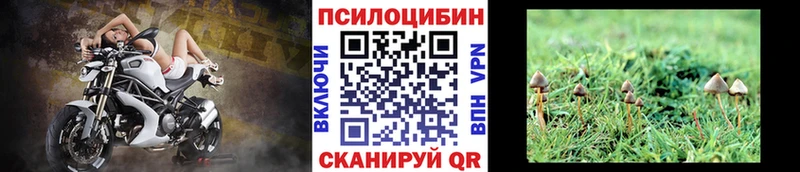 Галлюциногенные грибы прущие грибы  цена   KRAKEN tor  Могоча 